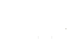 Provident Logo